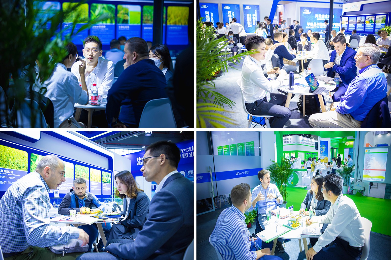 1686020021842647xZoF.jpg 1686020021842647xZoF.jpg