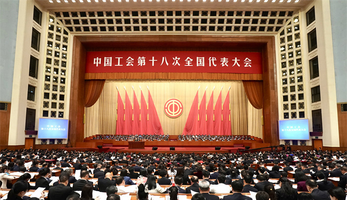 1698039325275276x71J.jpg 1698039325275276x71J.jpg