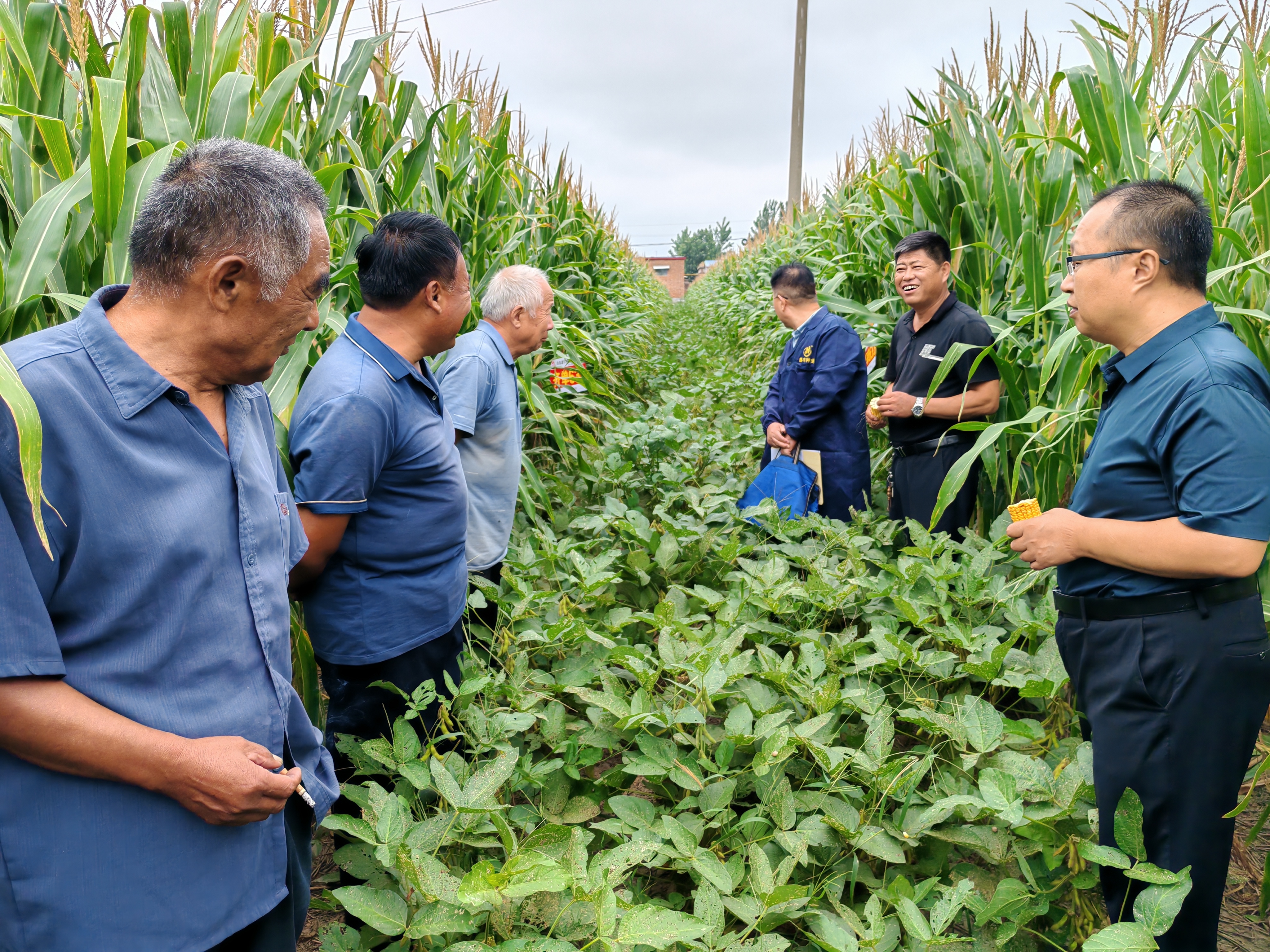 1727056320777031HpOr.jpg 1727056320777031HpOr.jpg