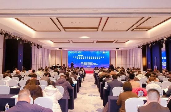 17358887009081065kfC.png 17358887009081065kfC.png