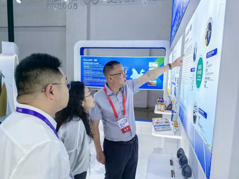 1750906906699970VLJb.jpg 圖片13.jpg